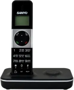    DECT SANYO RA-SD1002RUS