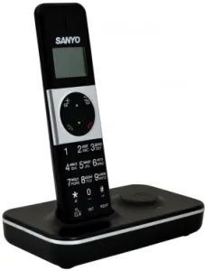    DECT SANYO RA-SD1002RUS