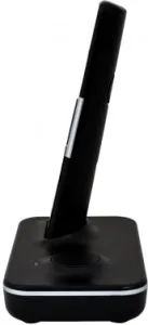   DECT SANYO RA-SD1002RUS