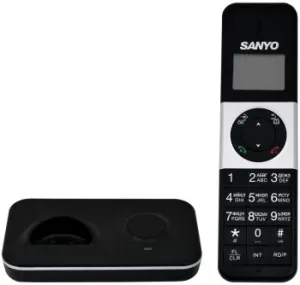    DECT SANYO RA-SD1002RUS