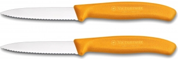   . Victorinox Swiss Classic (6.7636.L119B) .:2  