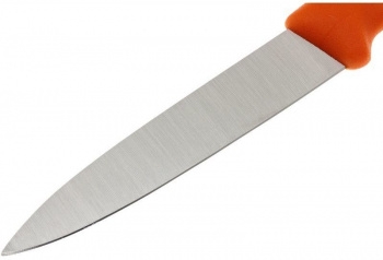   . Victorinox Swiss Classic (6.7606.L119B) .:2  
