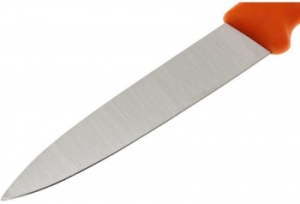   . Victorinox Swiss Classic (6.7606.L119B) .:2  