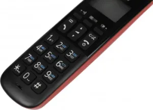   DECT Panasonic KX-TGB610RUR, , , /