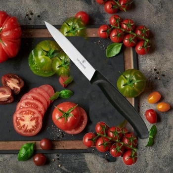   Victorinox Swiss Classic (6.7703)       .100 