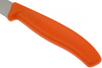   . Victorinox Swiss Classic (6.7936.12L9B) .:2  