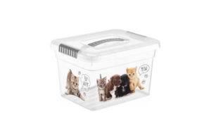    Funbox Deco 5   