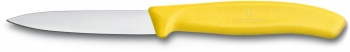   Victorinox Swiss Classic (6.7116.31G)  .
